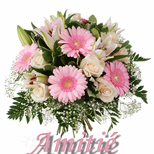 http://a7.idata.over-blog.com/3/01/36/86/fleurs/amitie-bouquet-fleurs.gif 