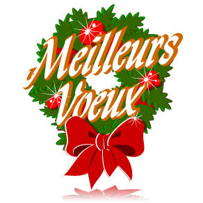 meilleurs-voeux.gif