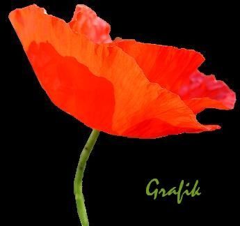 Coquelicot Coquelicot-rouge