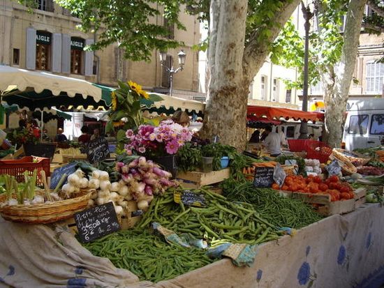 provence-2007-_10_.jpg